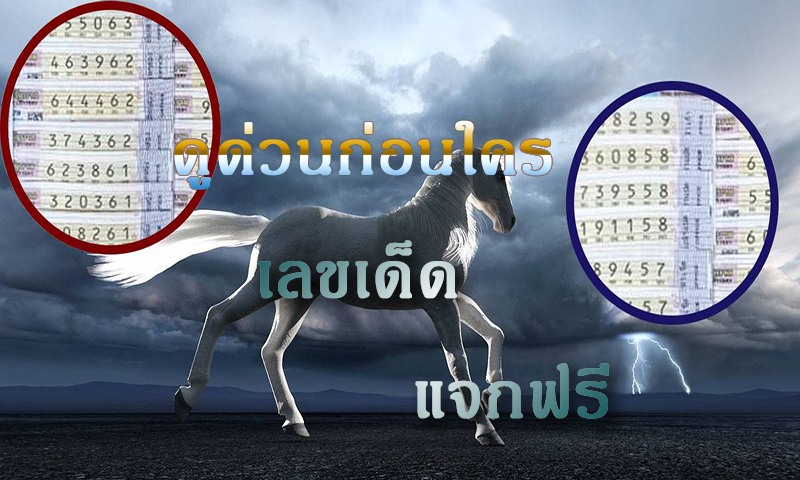 เลขม้าวิ่ง เลขเด็ด