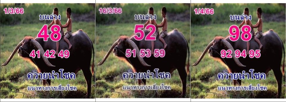 ผลงานหวยควายนำโชคย้อนหลัง