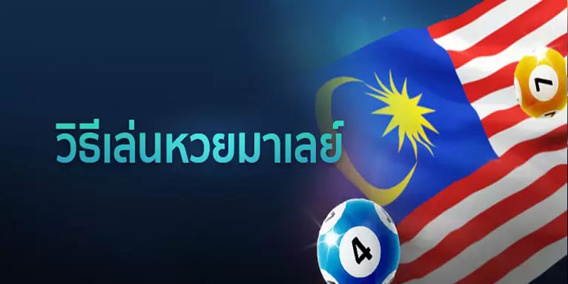 ผลเบอร์มาเล