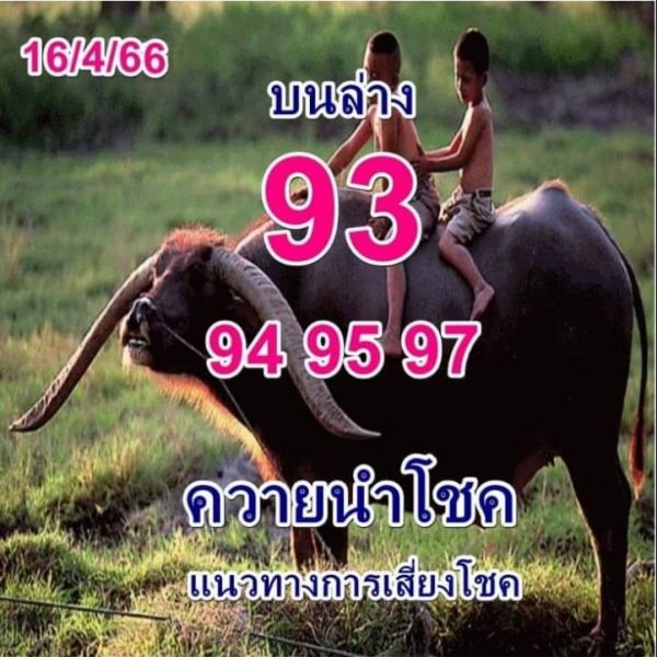 เลขควายนำโชค