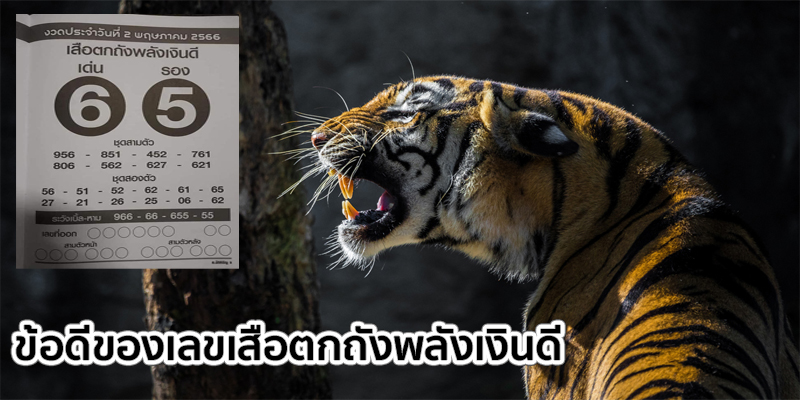 เลขเด็ดเสือตกถังพลังเงินดี คือ 