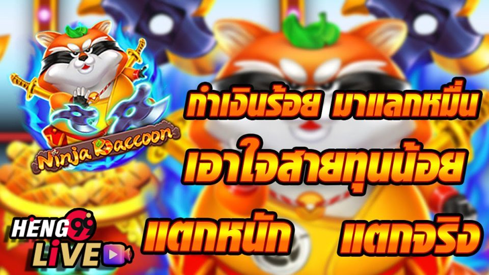 Ninja Raccoon-heng99live