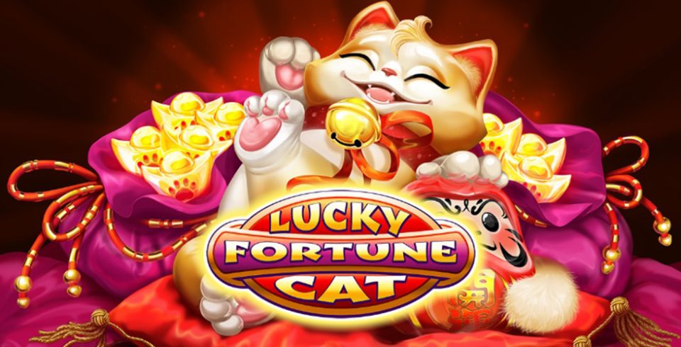 Lucky Fortune Cat