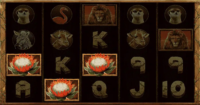 ฟีเจอร์โบนัส