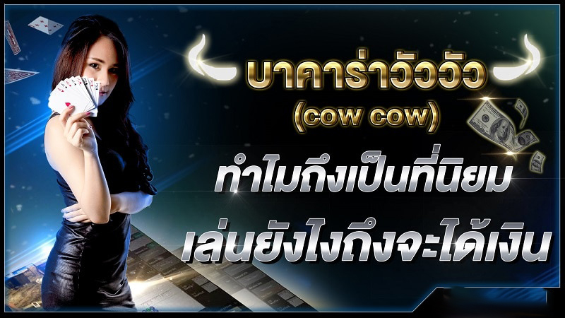 ทดลองเล่นบาคาร่าวัววัว-"Try playing cow-cow baccarat"