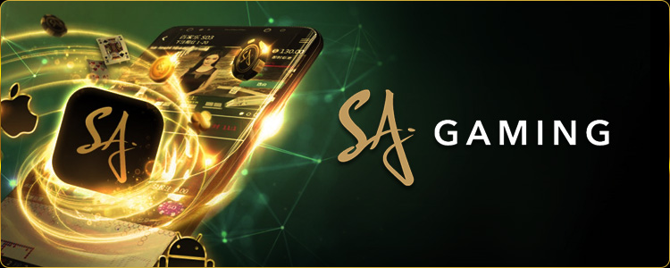 sa login