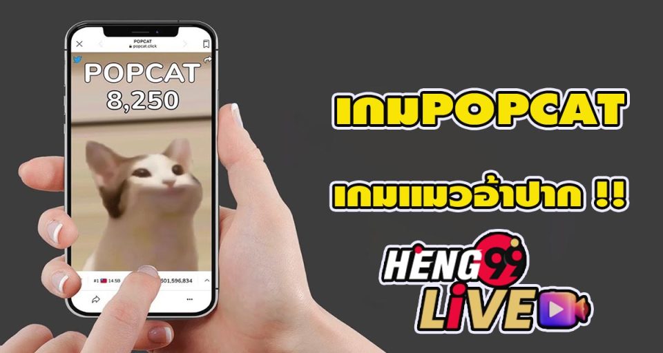 เกม popcat แมวอ้าปาก - " popcat-game-cat-open-mouth "