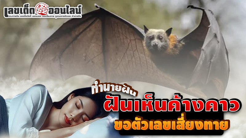 รูปภาพทำนายฝันขอเลขเสี่ยงทายฝันเห็นค้างคาวของ lekdedonline