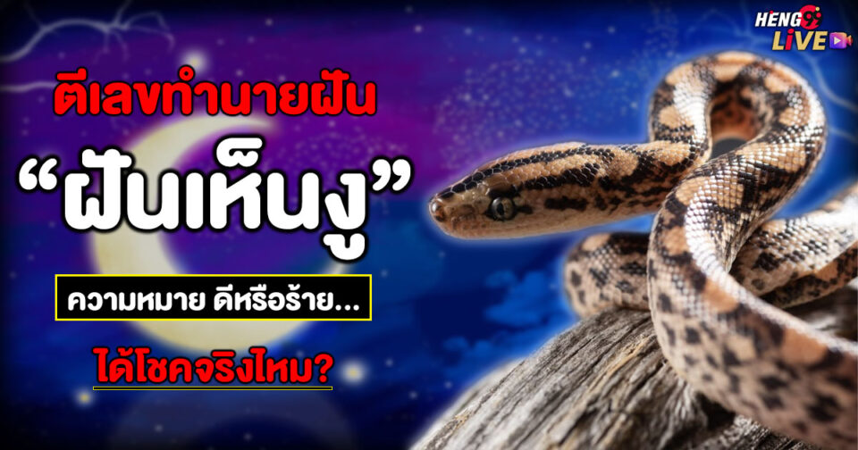 ตีเลข งู -"Hit the snake number"